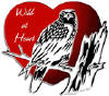 Wild at Heart Refuge Centre, Walden, Northern Ontario
