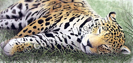 Jaguar Wildlife Painting