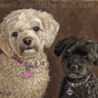 poodle terrier mix