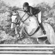 horse jump