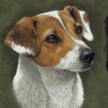 JRT