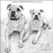 American bulldog