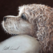 Cocker Spaniel