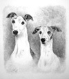 Pet Portraits by Colette Theriault 