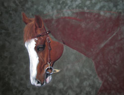 Appaloosa Pastel Painting step 2