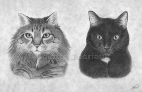 completed pet portrait of cats