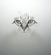 work in progress cat eyes