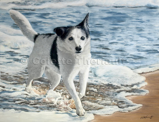 Mixed Breed  Dog pastel painting-Pet Portraits