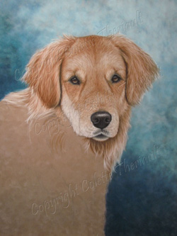 Golden Retriever Painting in progress 3
