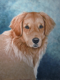 Golden Retriever Painting in progress 4
