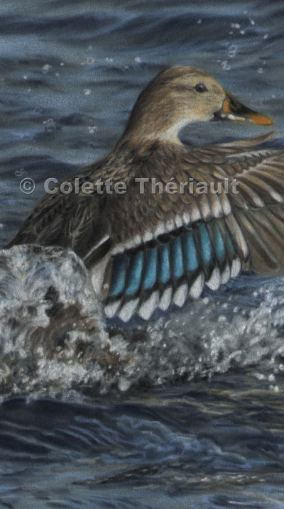 Duck Painting