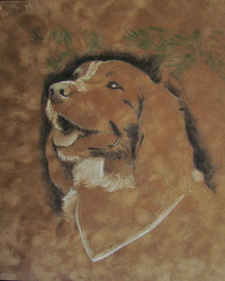 Springer Spaniel Painting wip1