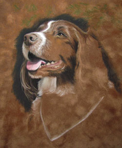 Springer Spaniel Painting wip2