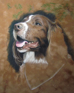 Springer Spaniel Painting wip4