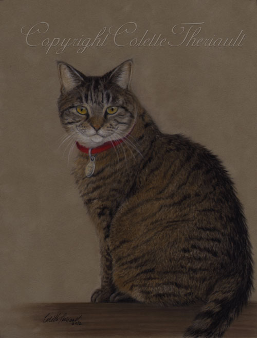  Brown Tabby Cat Pastel Drawing