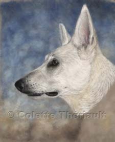 Step 4 white shepherd painting in progress