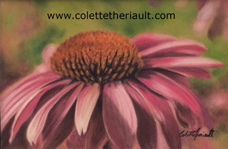 Echinacea flower painting