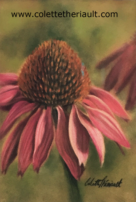 Purple coneflower painting