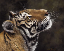 Siberian Tiger Painting